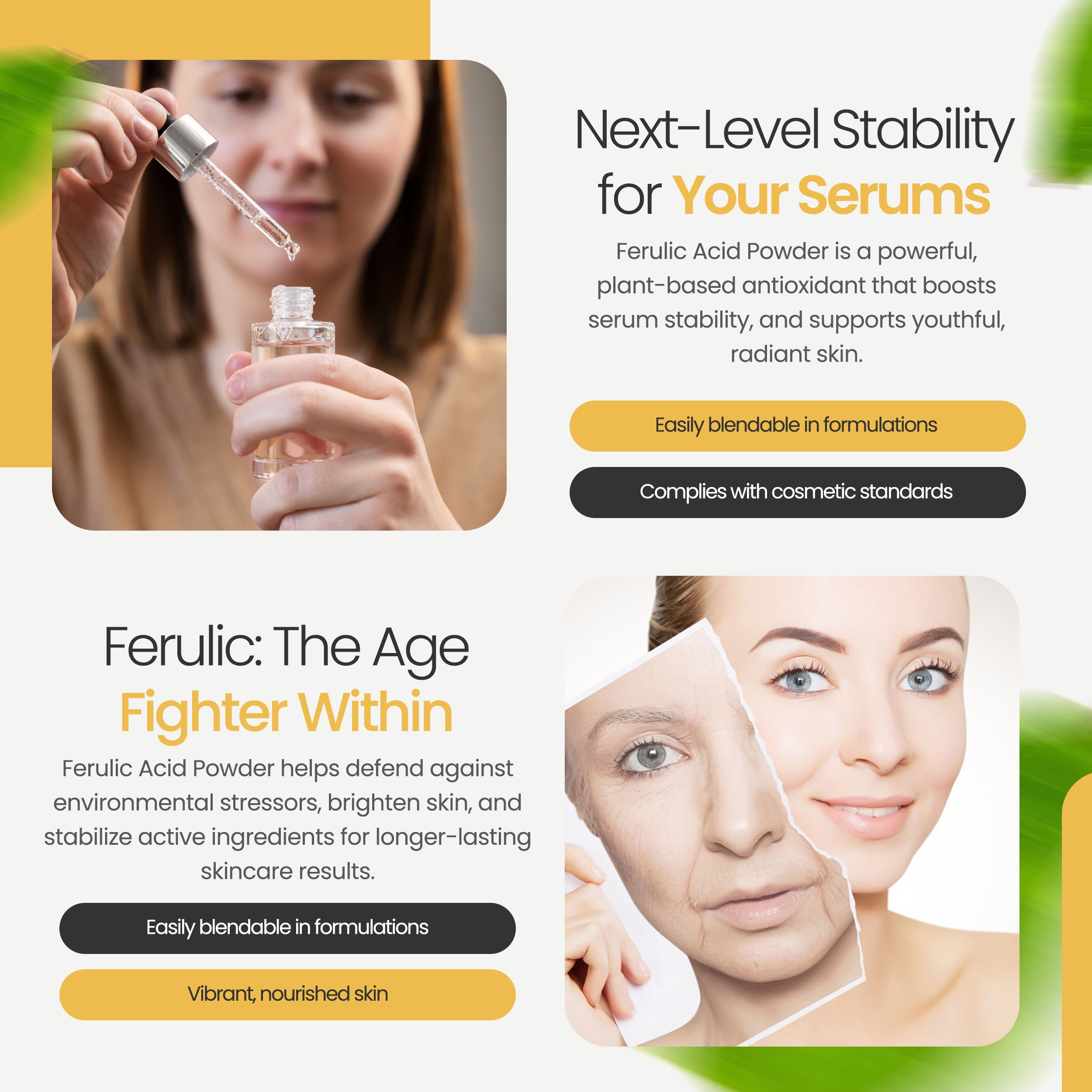 Ferulic Acid Powder