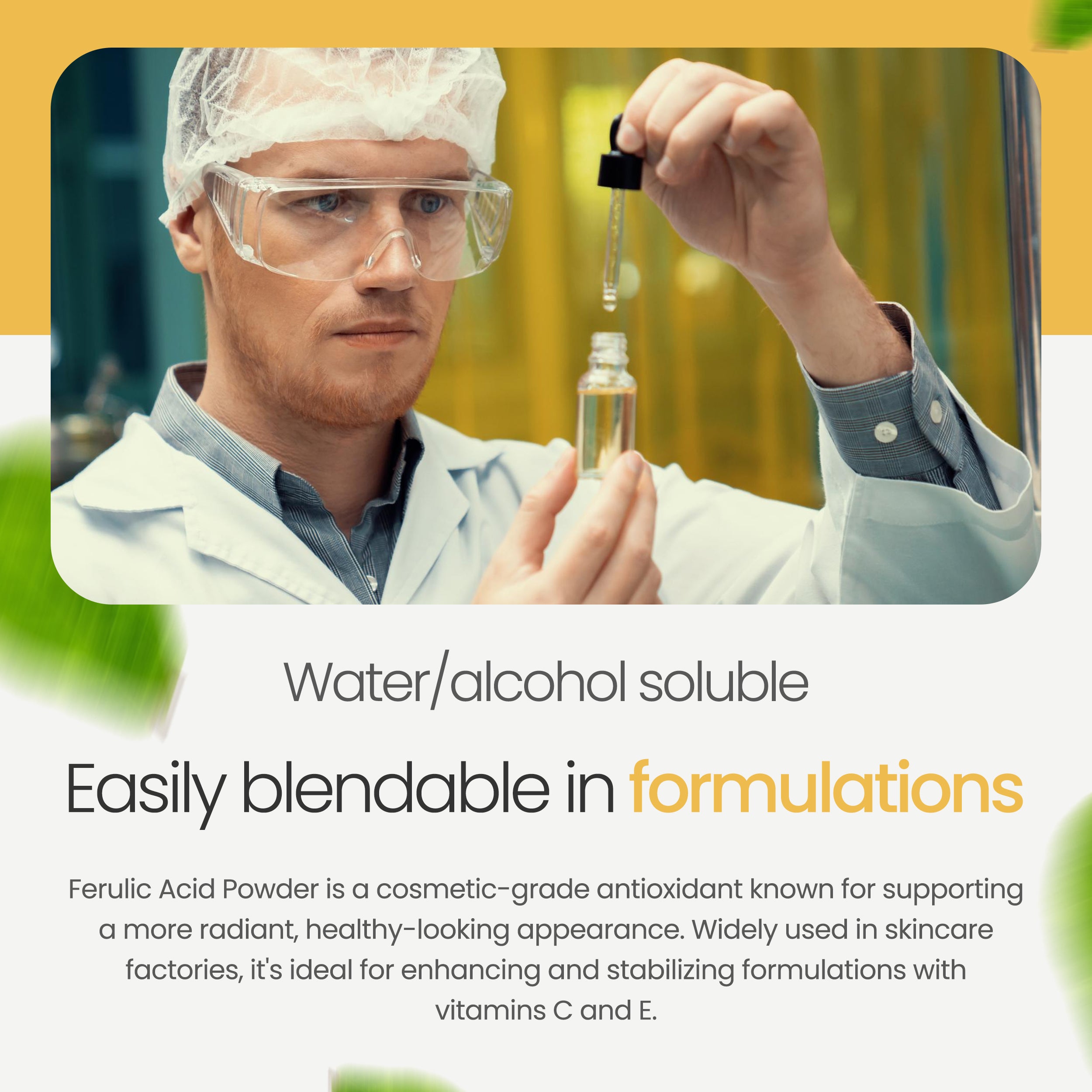 Ferulic Acid Powder