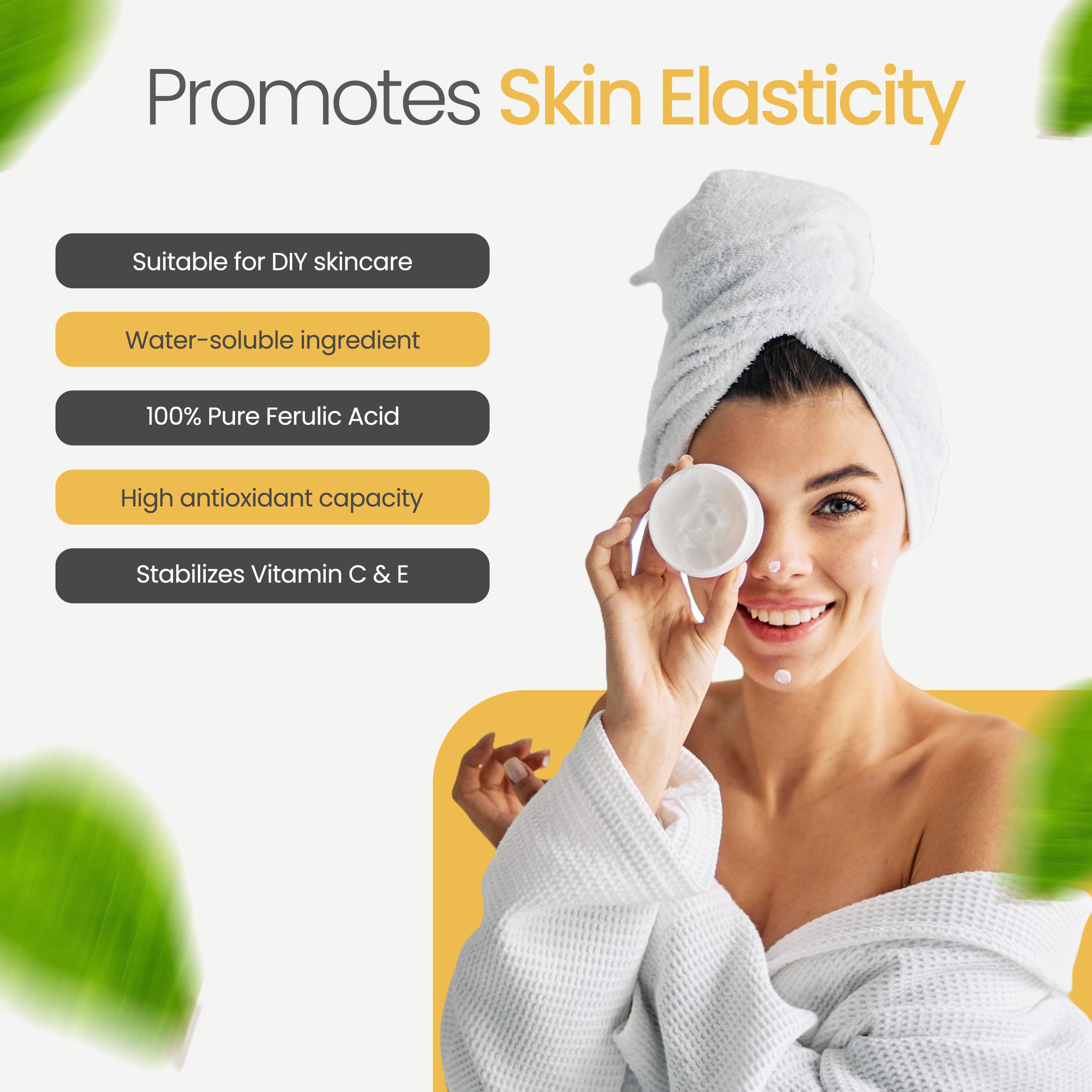 Ferulic Acid Powder